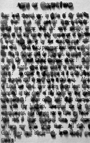 Ann Hamilton - Stone Book